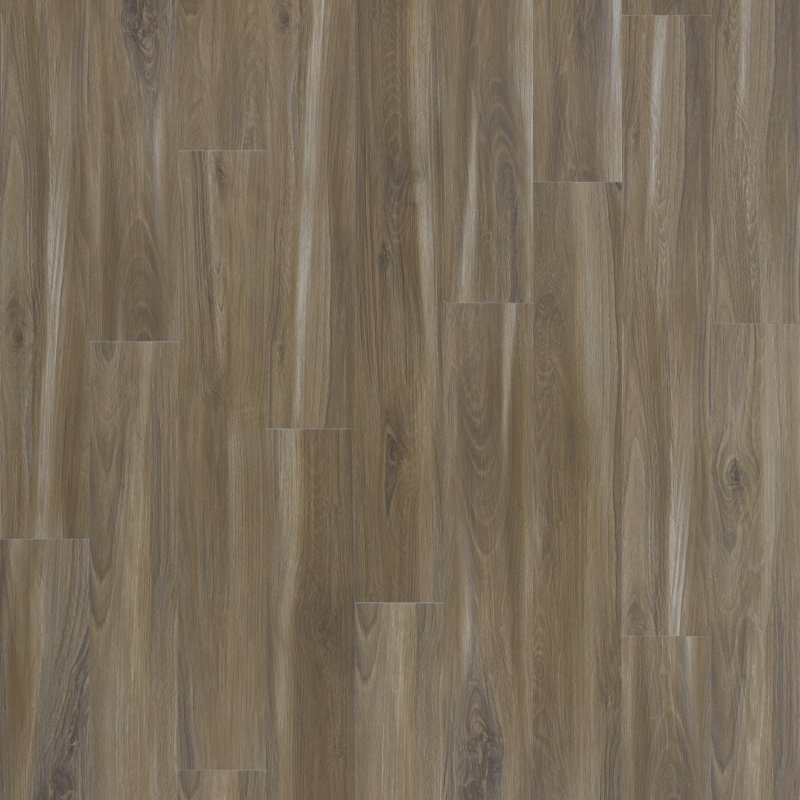 Mohawk Flooring Explorer's Forest