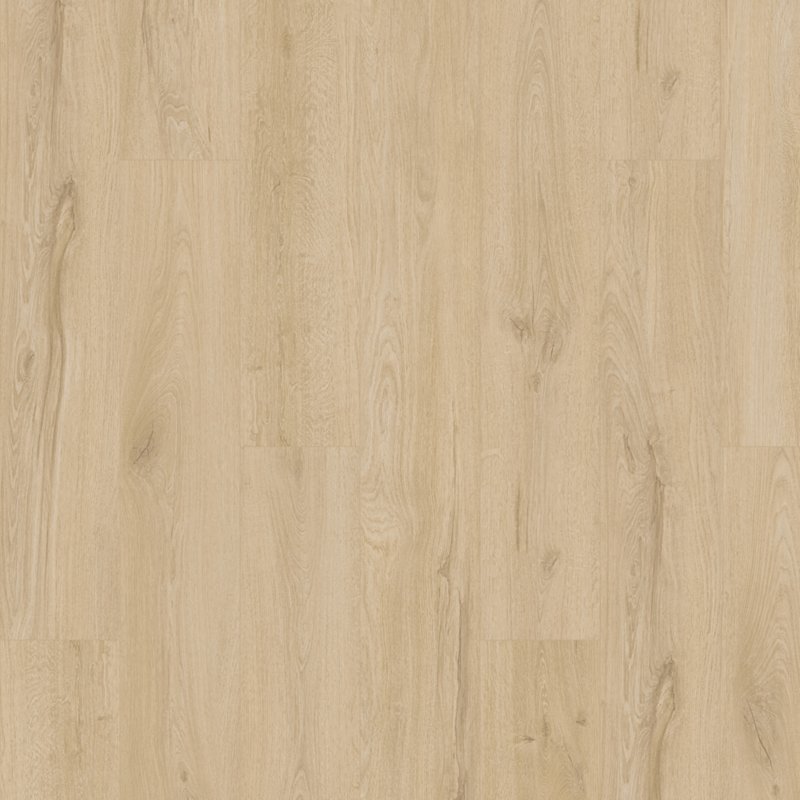 Karastan Artisan Reserve