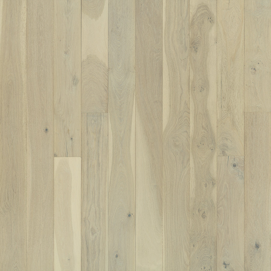 Alta Vista Venice Oak