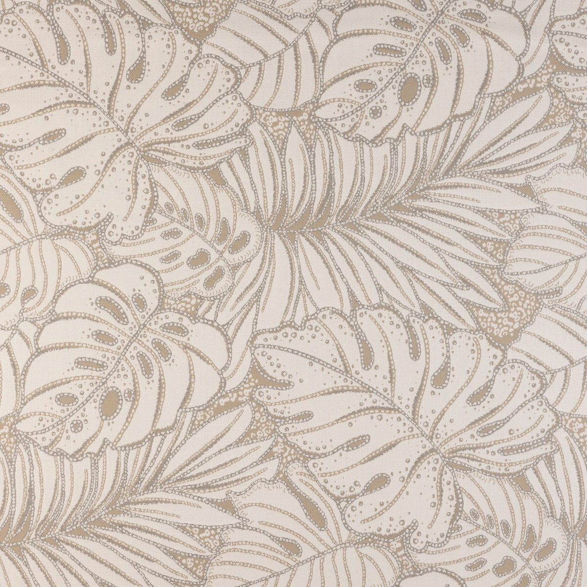 Canopy Layer Dune