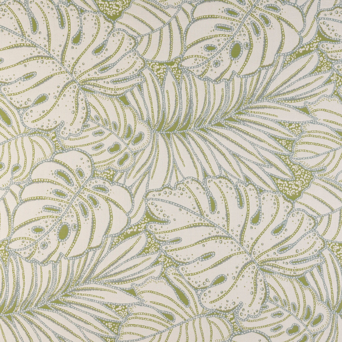 Canopy Layer Palm