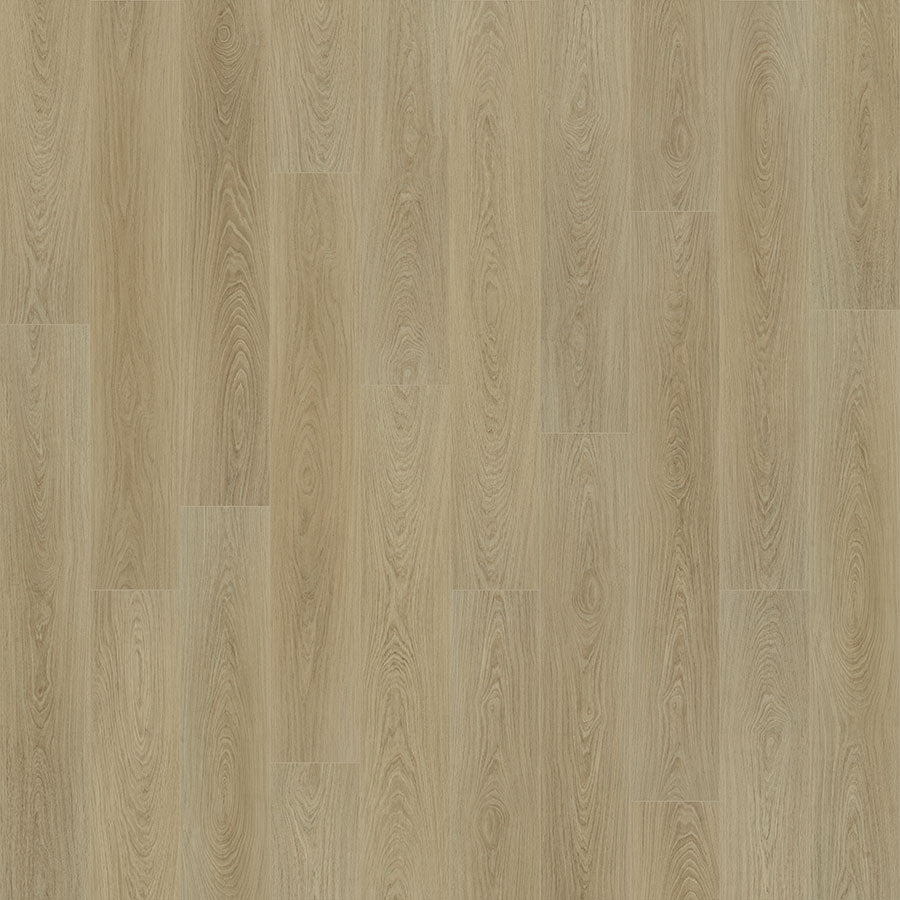 Courtier Nightcastle Oak