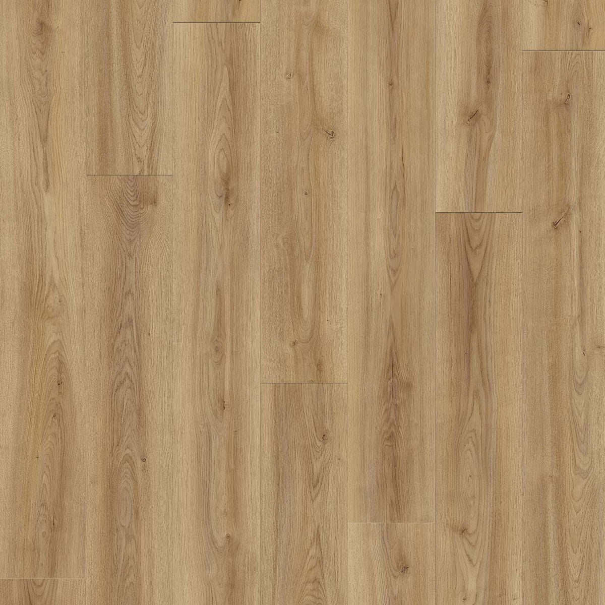 Wood Tech - Birch Mountain