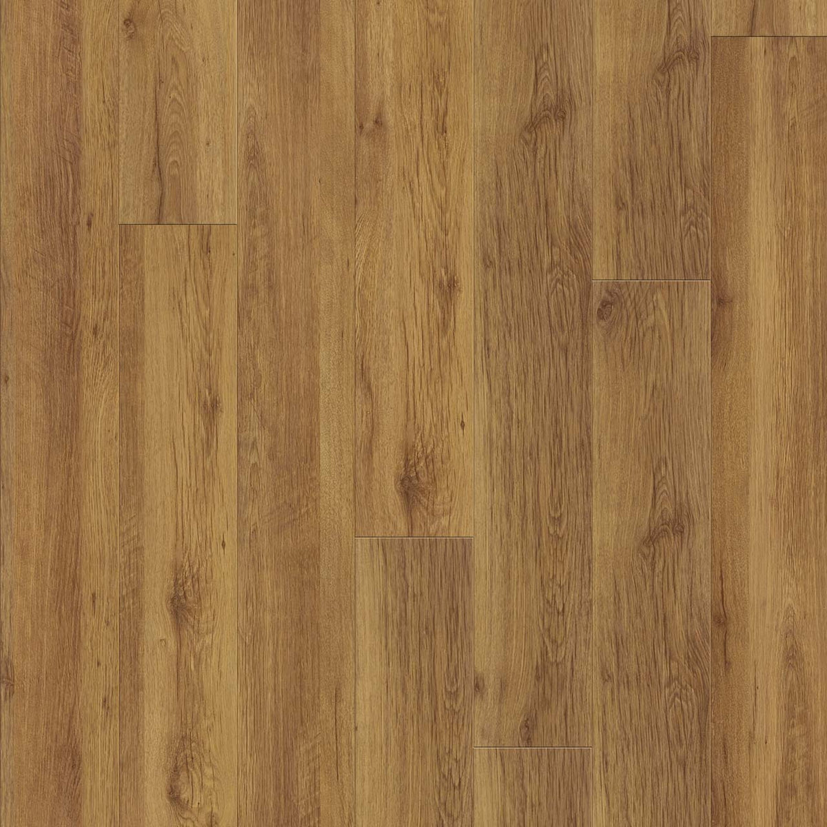 Wood Tech - Hemlock Trail