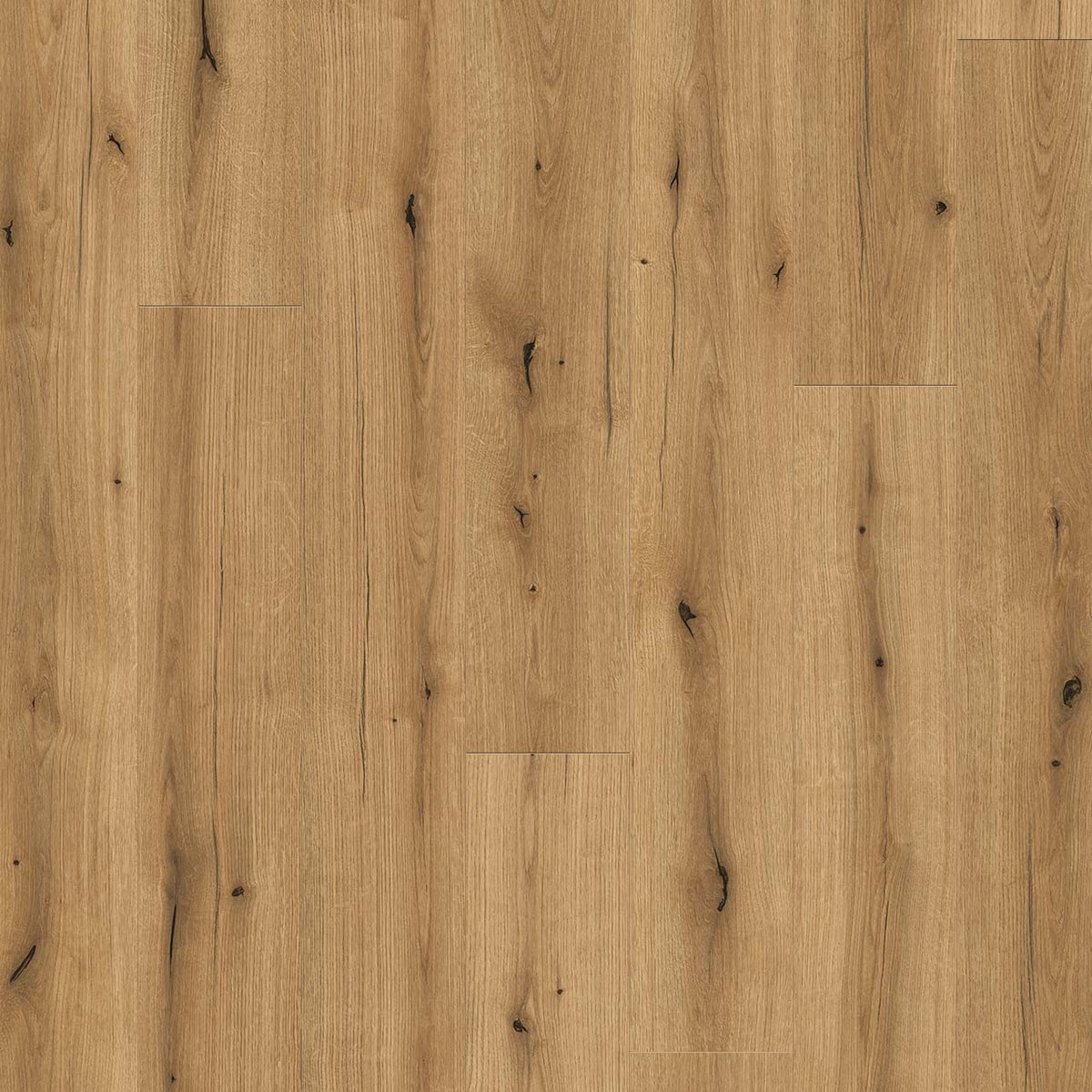 Wood Tech - Stanton Moore