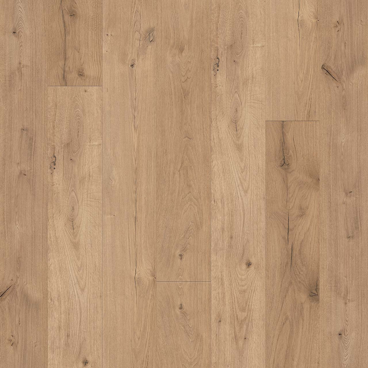 Wood Tech - Pine Island