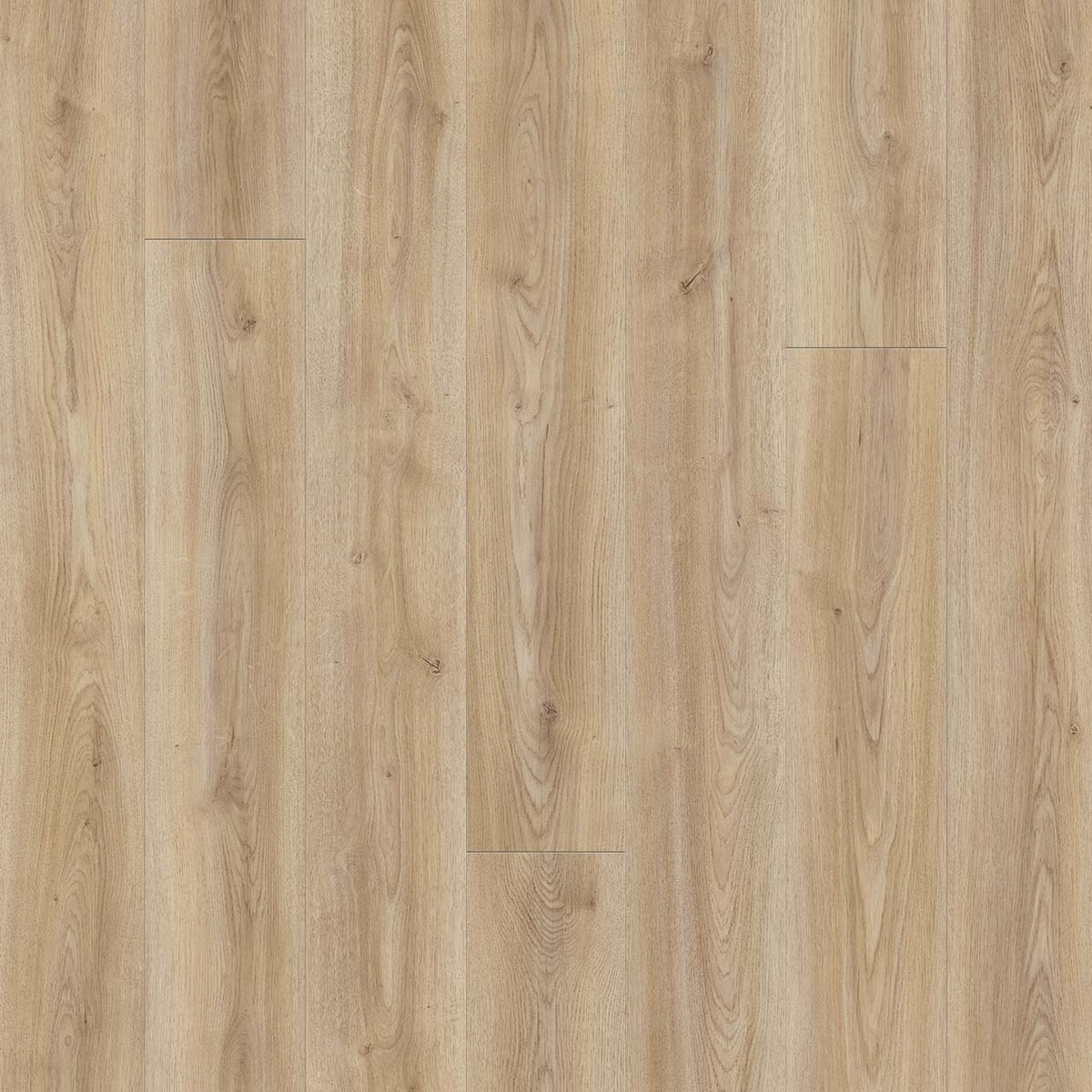 Wood Tech - Maulden Wood