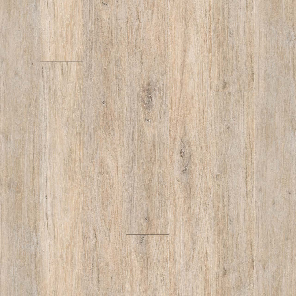 Wood Tech - Cathedral Grove
