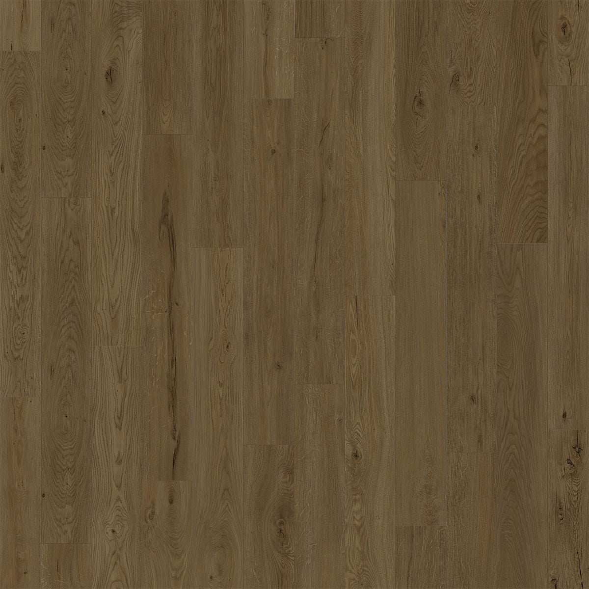 American Standard - Biscayne