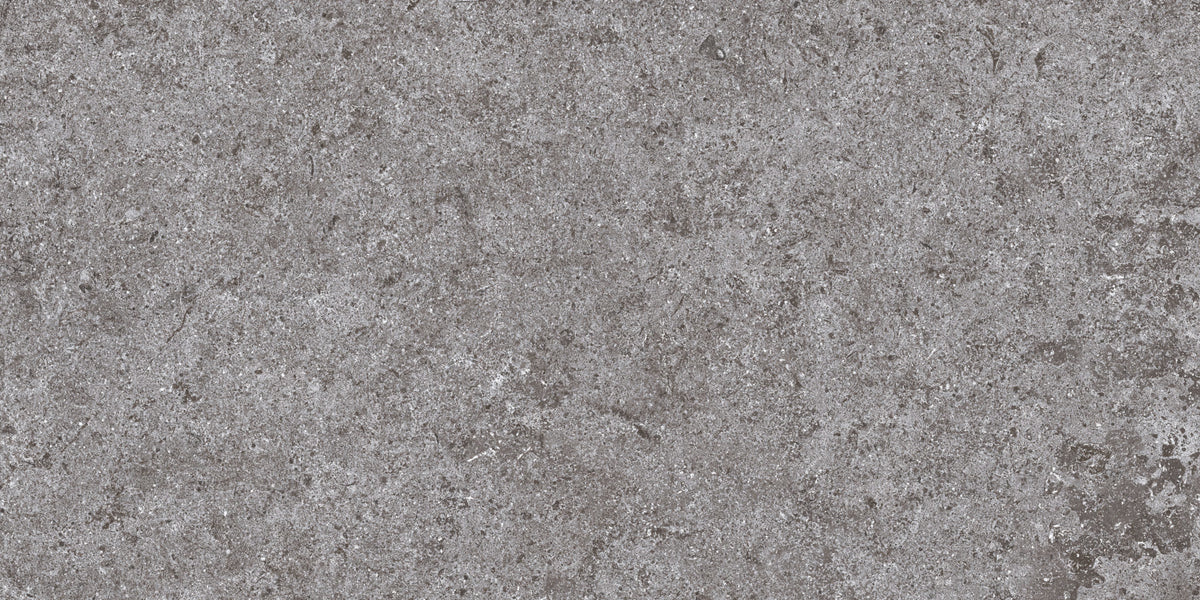 Roca Tile - Basalt Fd 12 x 24 Inch Tile