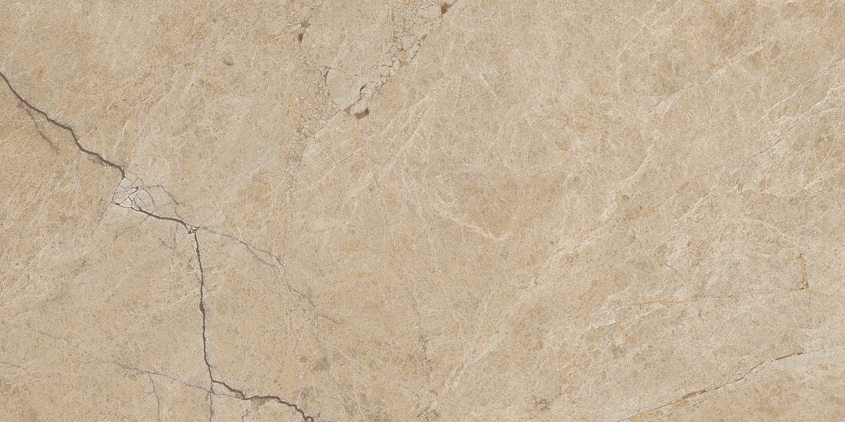Roca Tile - 12 x 24 Moscato Fd Tile