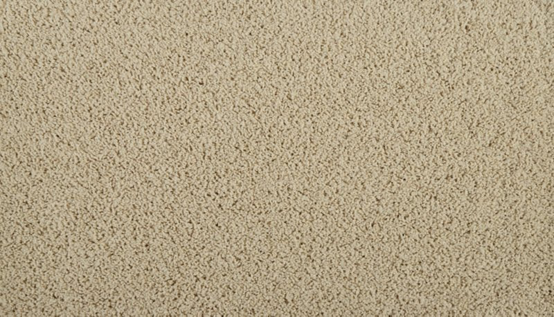 Mohawk Flooring Iconic Look I