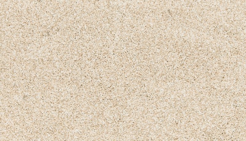 Mohawk Flooring Paw Pathway