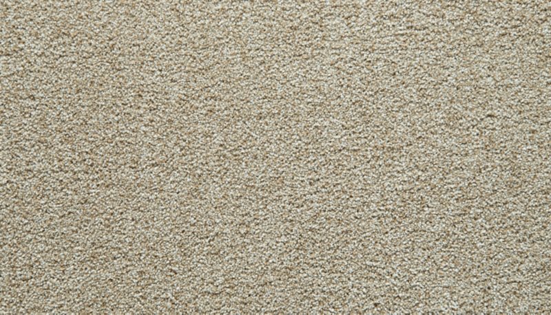 Mohawk Flooring Gentle Guardian I