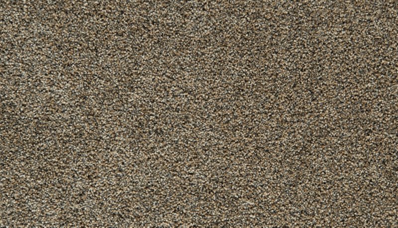 Mohawk Flooring Cozy Companion I