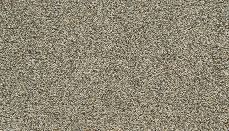 Mohawk Flooring Cozy Companion IV