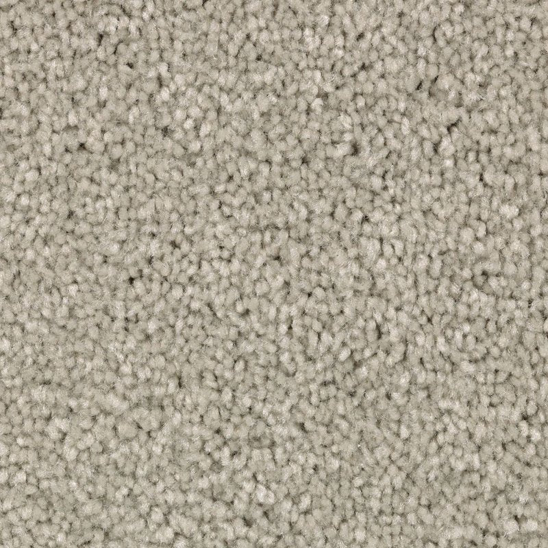 Mohawk Flooring Vivid Instinct