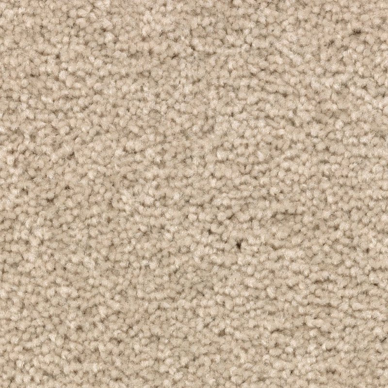 Mohawk Flooring Vivid Instinct