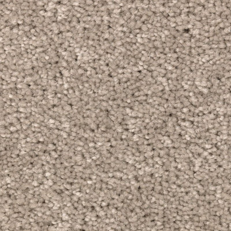 Mohawk Flooring Vivid Instinct