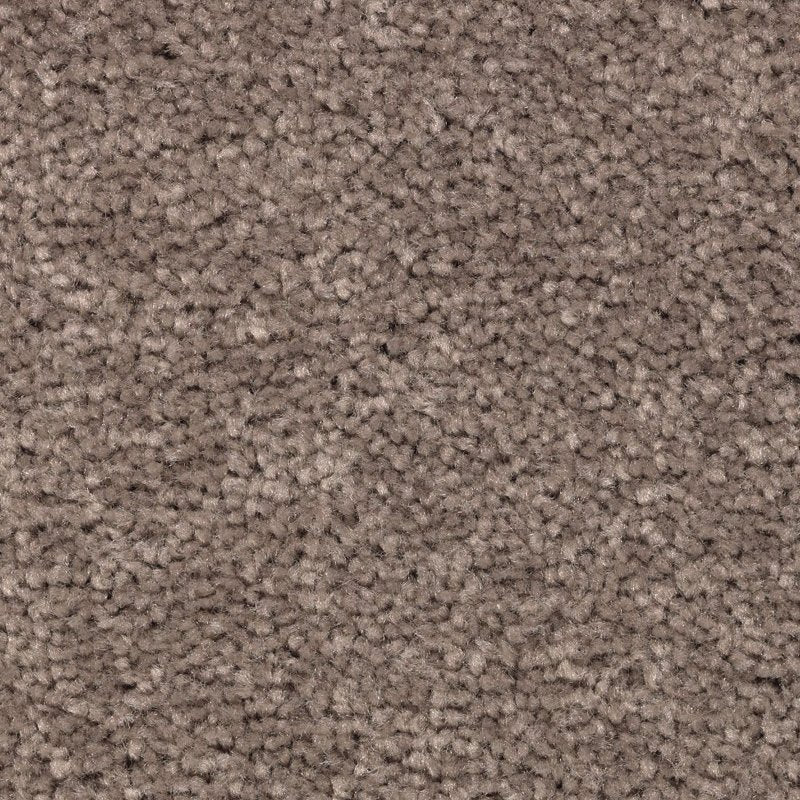 Mohawk Flooring Vivid Instinct