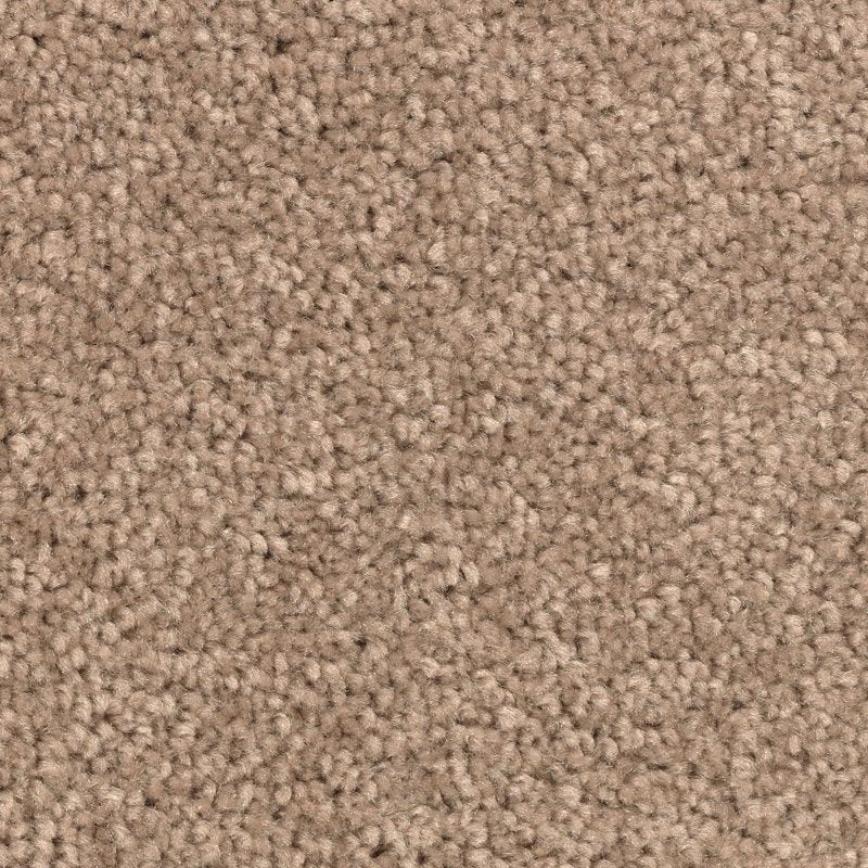 Mohawk Flooring Vivid Instinct