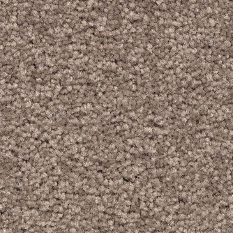 Mohawk Flooring Vivid Instinct