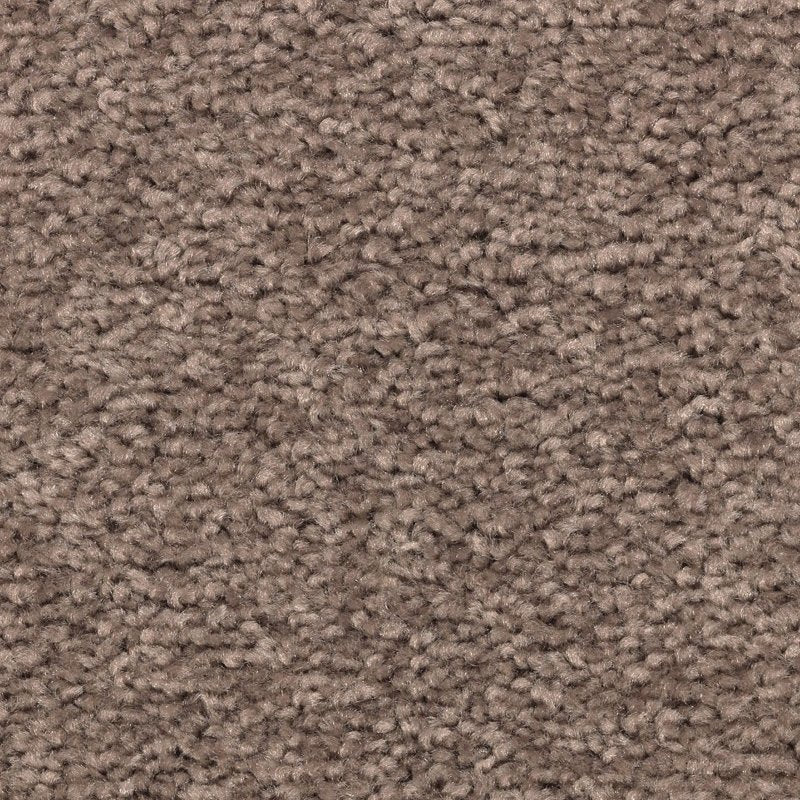 Mohawk Flooring Vivid Instinct