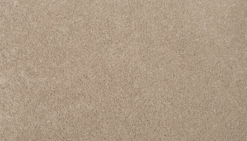 Mohawk Flooring Tender Moment II
