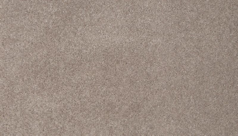 Mohawk Flooring Tender Moment II