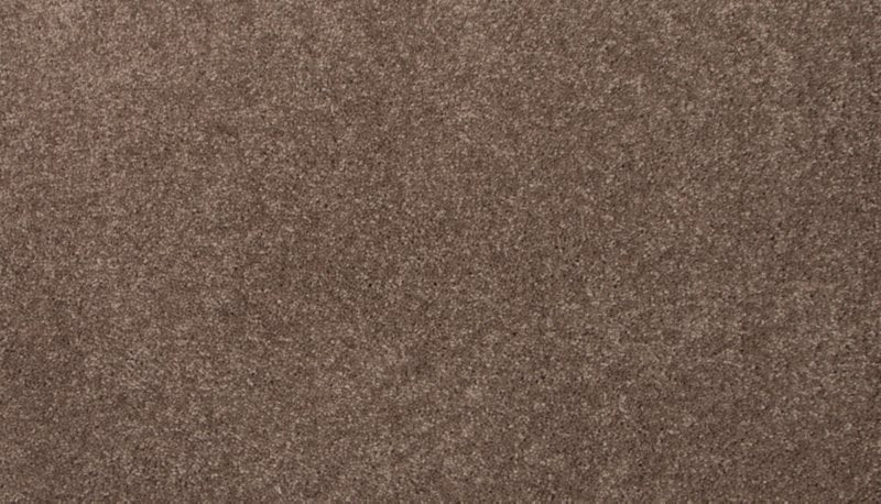 Mohawk Flooring Tender Moment II