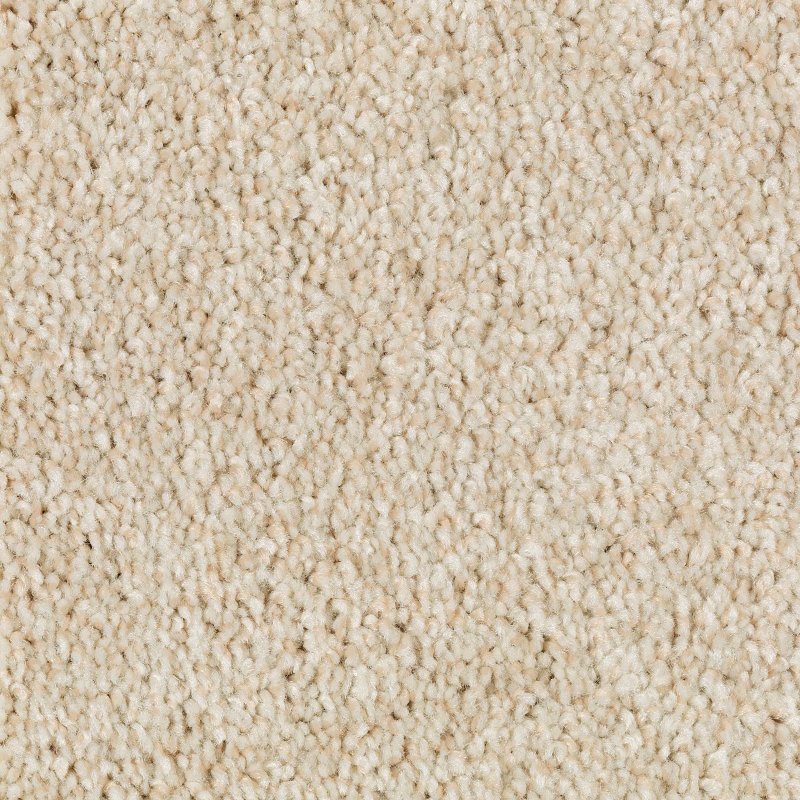 Mohawk Flooring Natural Accents I