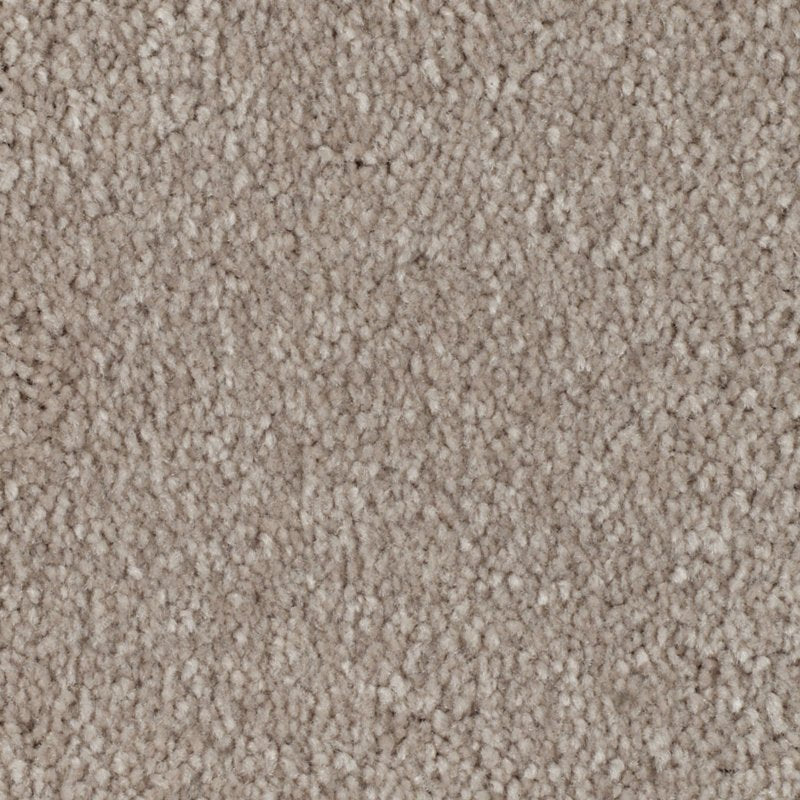 Mohawk Flooring Elegant Appeal III