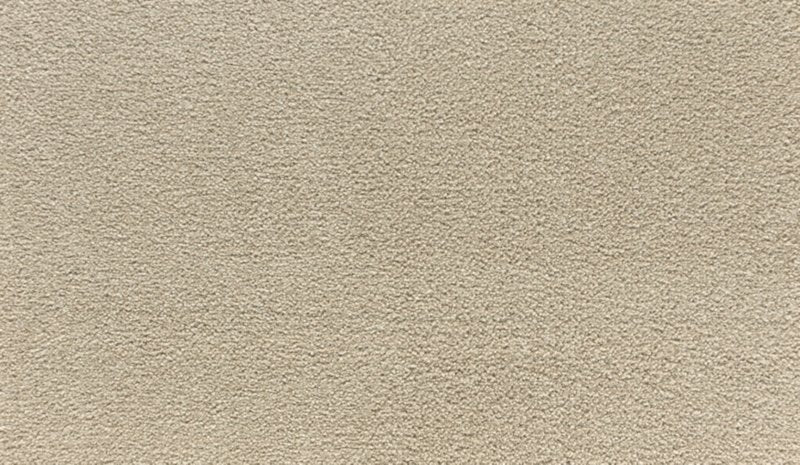 Mohawk Flooring Quality Living II