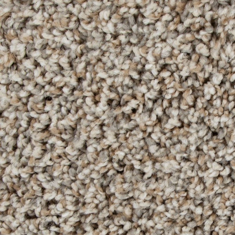 Mohawk Flooring Color Harmony I