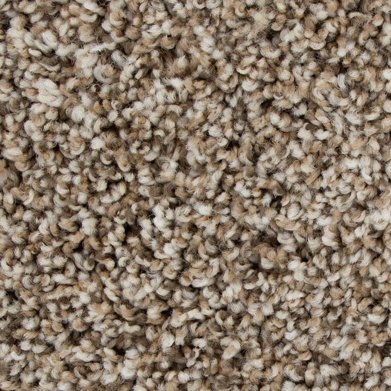 Mohawk Flooring Color Fusion I
