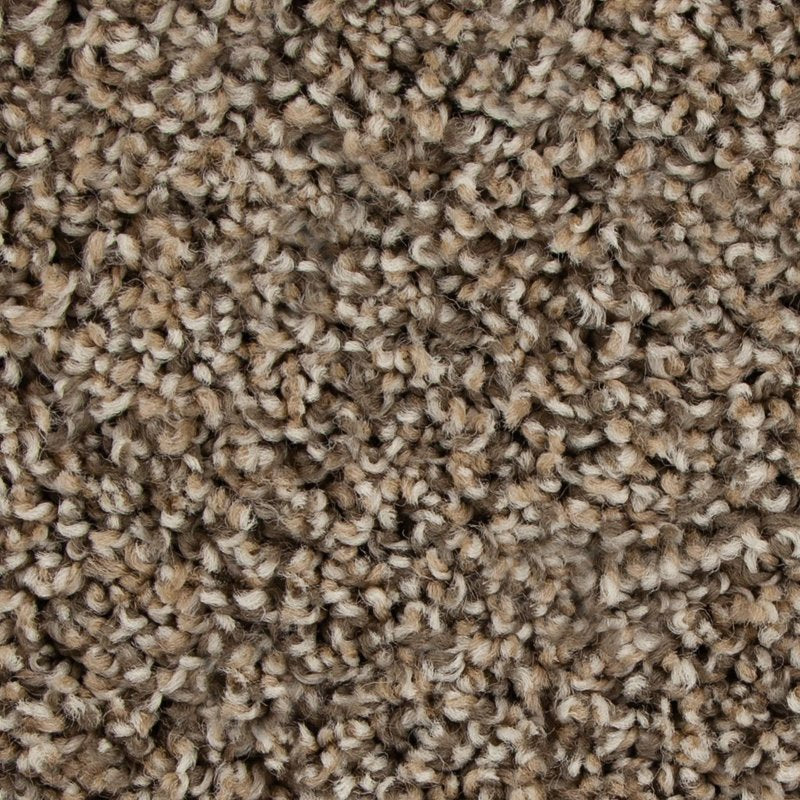Mohawk Flooring Color Harmony I