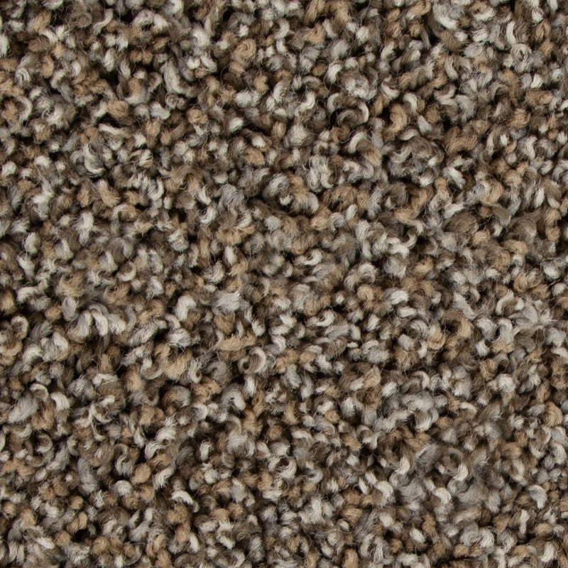 Mohawk Flooring Color Harmony I
