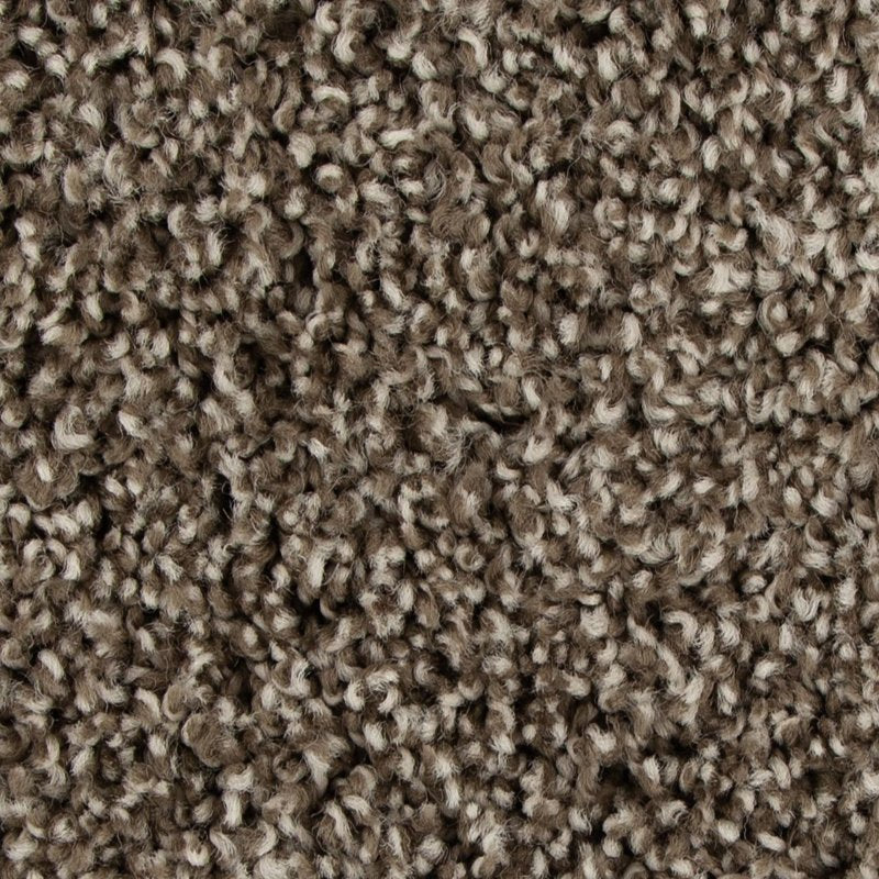 Mohawk Flooring Color Harmony I