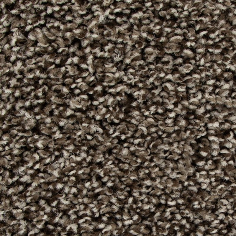 Mohawk Flooring Color Harmony I
