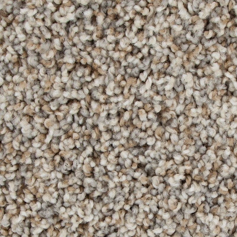 Mohawk Flooring Color Fusion I