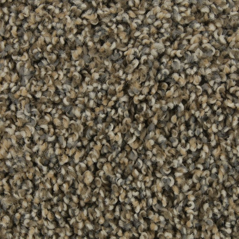 Mohawk Flooring Color Fusion I