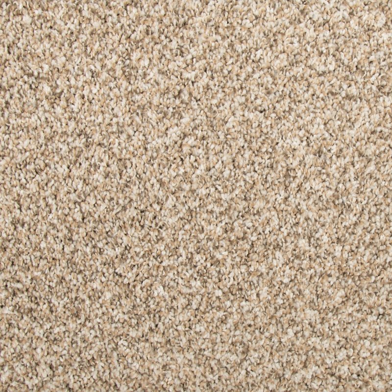 Mohawk Flooring Color Fusion II
