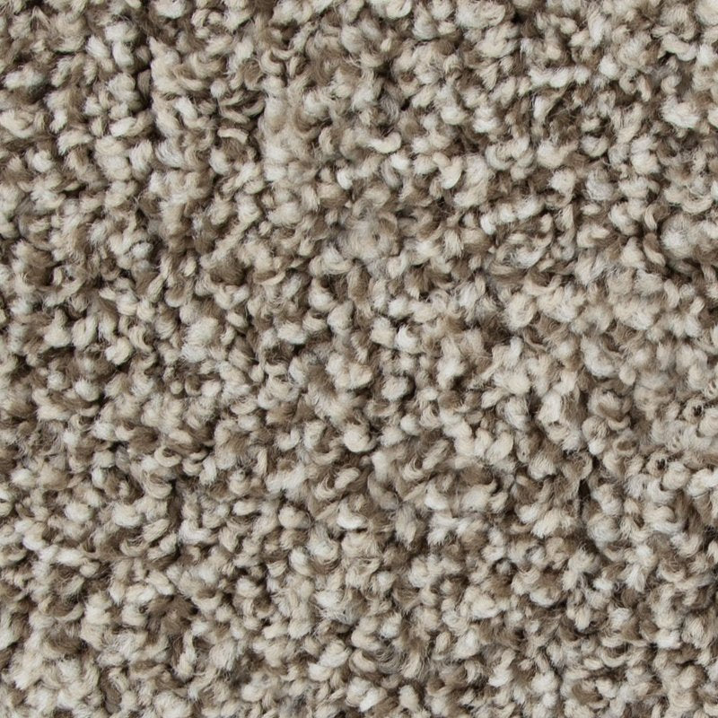 Mohawk Flooring Color Harmony II