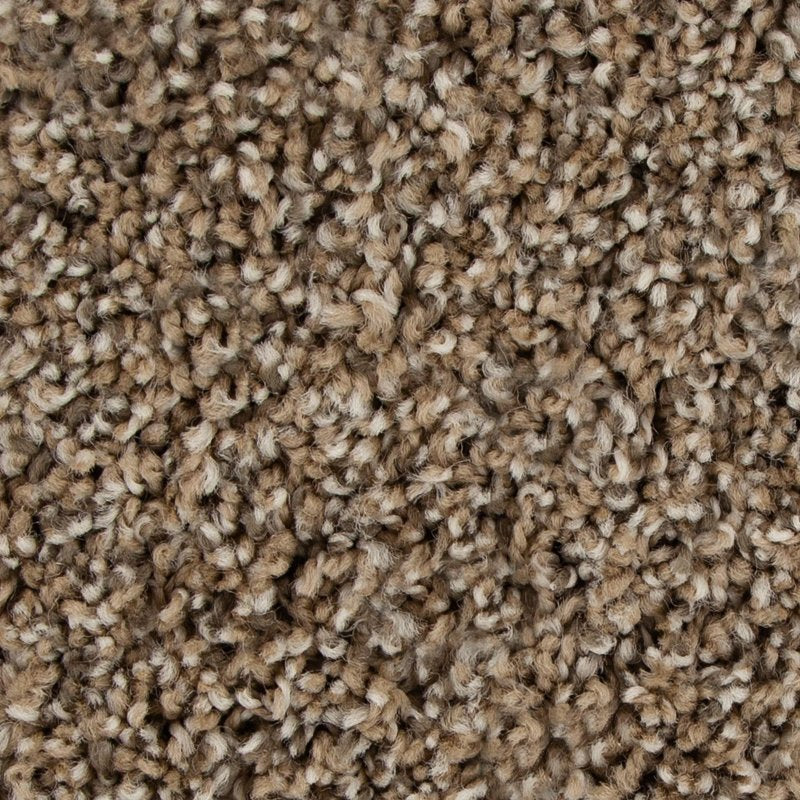 Mohawk Flooring Color Harmony II