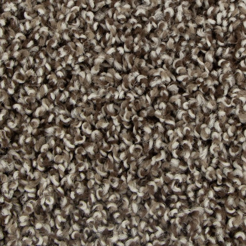 Mohawk Flooring Color Fusion II
