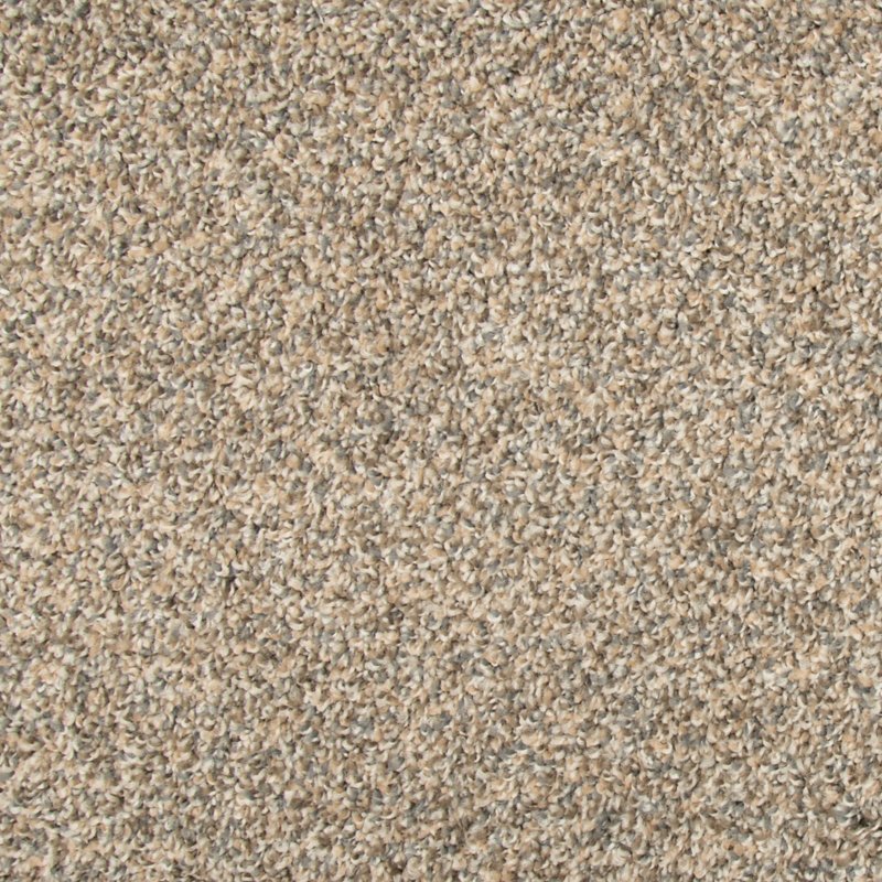 Mohawk Flooring Color Fusion II