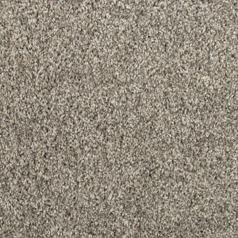 Mohawk Flooring Color Harmony II
