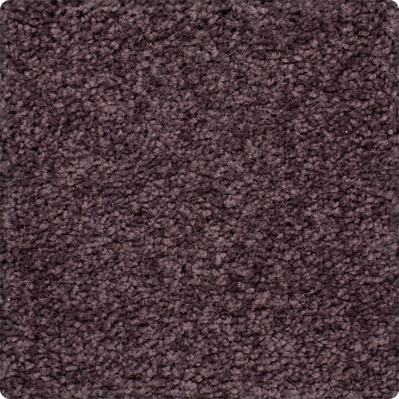 Karastan Dynamic Taste