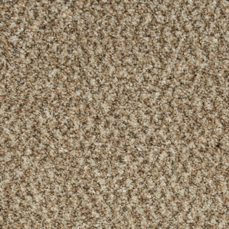 Mohawk Flooring Colorful Blend III