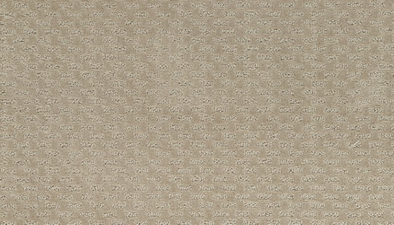 Mohawk Flooring Well Rounded II